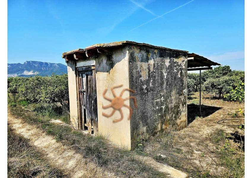 Sad pomarańczowy z budynkiem,  Cullera, Walencja